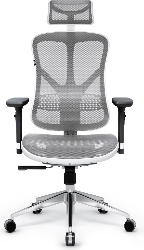 Ergonomikus hálós irodai szék, fehér-szürke: Diablo V-Basic