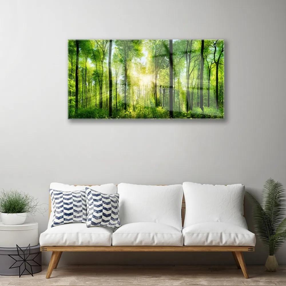 Modern üvegkép Természet Erdei fák 100x50 cm