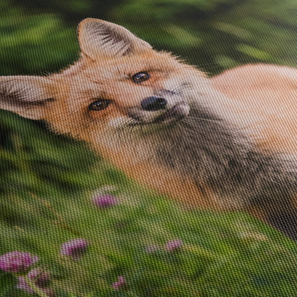Egy róka képe (150x105 cm)