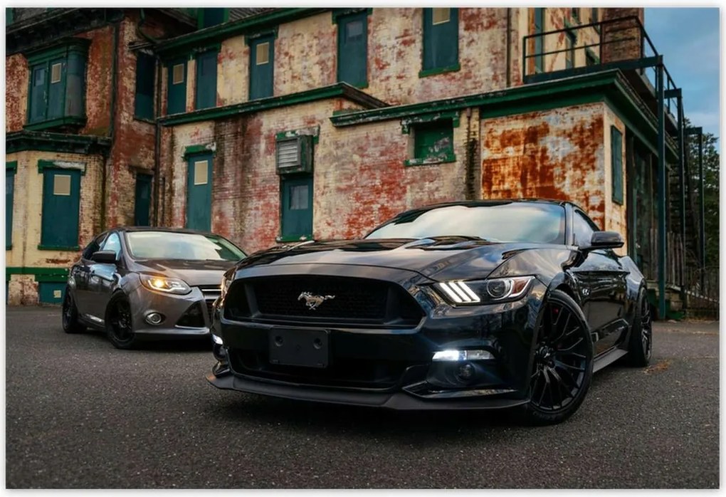 Fotótapéták 200x135 Fekete amerikai szörny