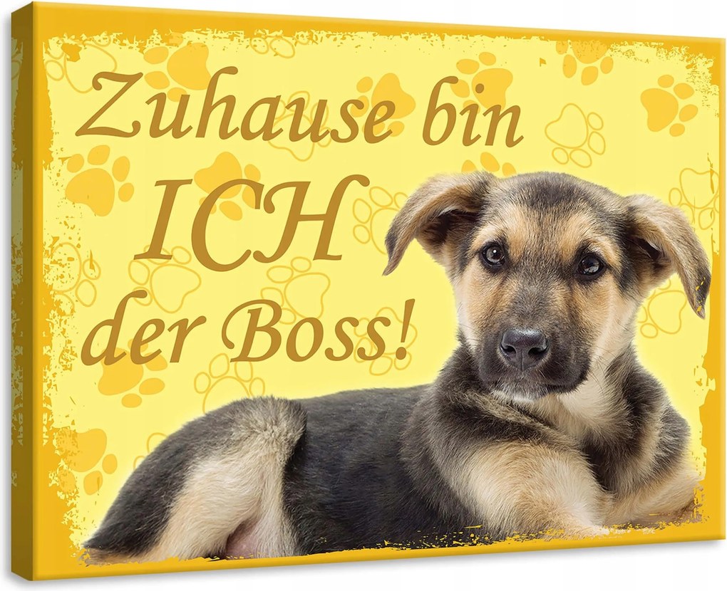 Vászonkép 70x50 Kiskutya kutya házi kedvenc sárga édes mancs lenyomat