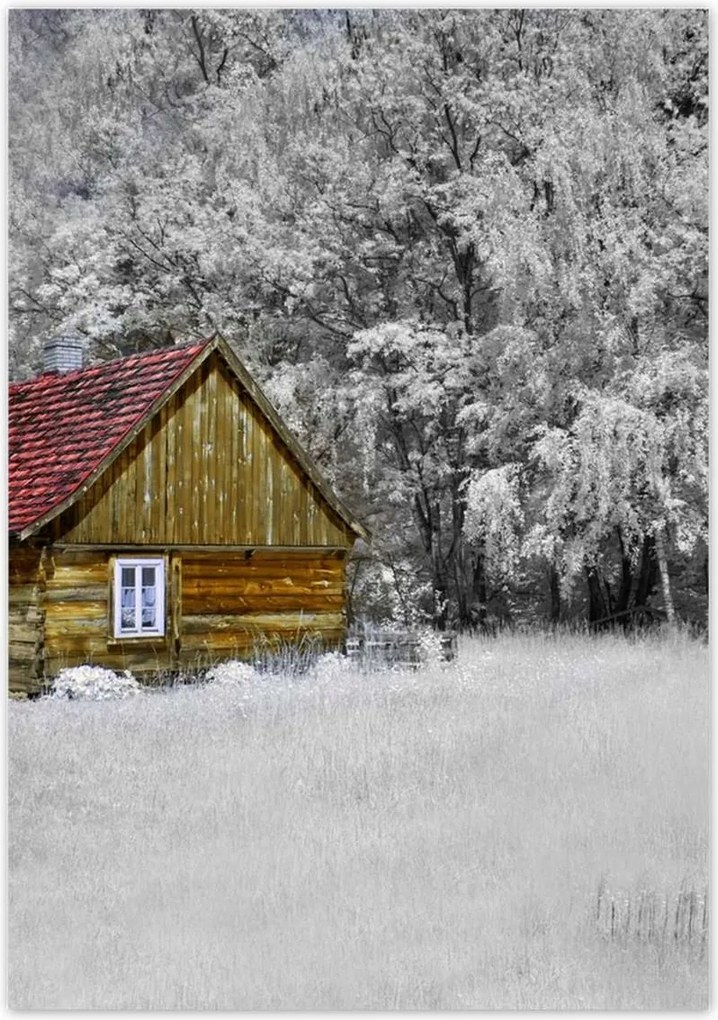 Poszterek 70x100 Fa ház Bale