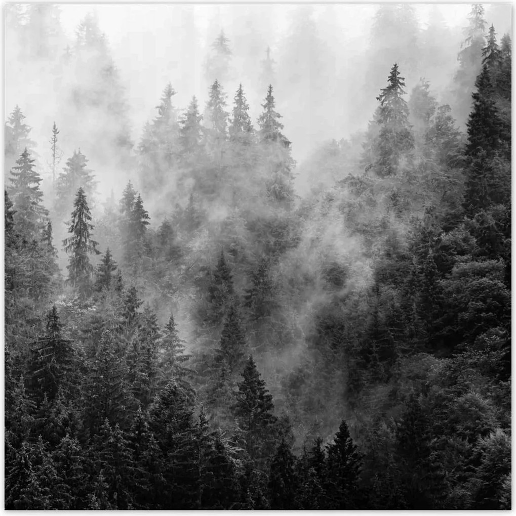 Fotótapéták 312x312 Tájkép Szürke Hegyek Köd