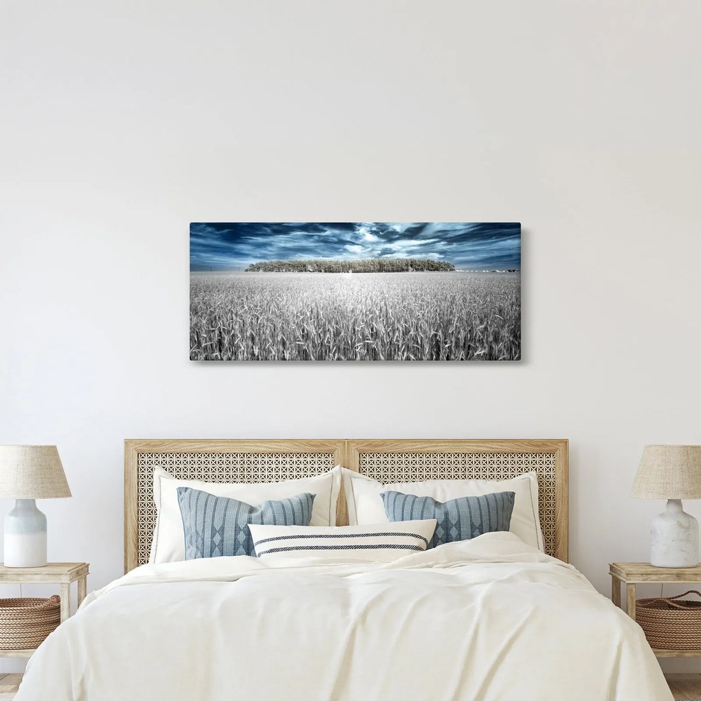 A mező képe (120x50 cm)