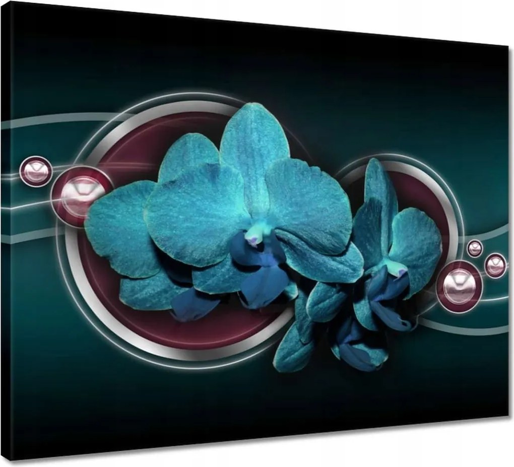 Vászonkép 50x40 Kék orchidea