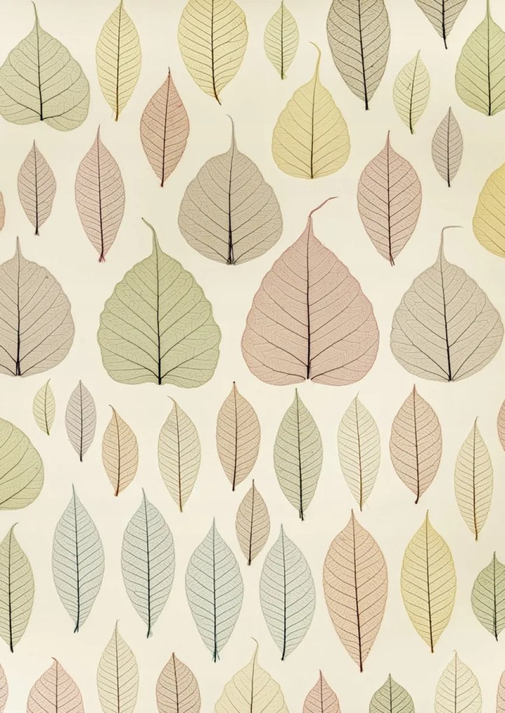 Poszter 42x59,4cm Csontváz levelek, Assaf Frank