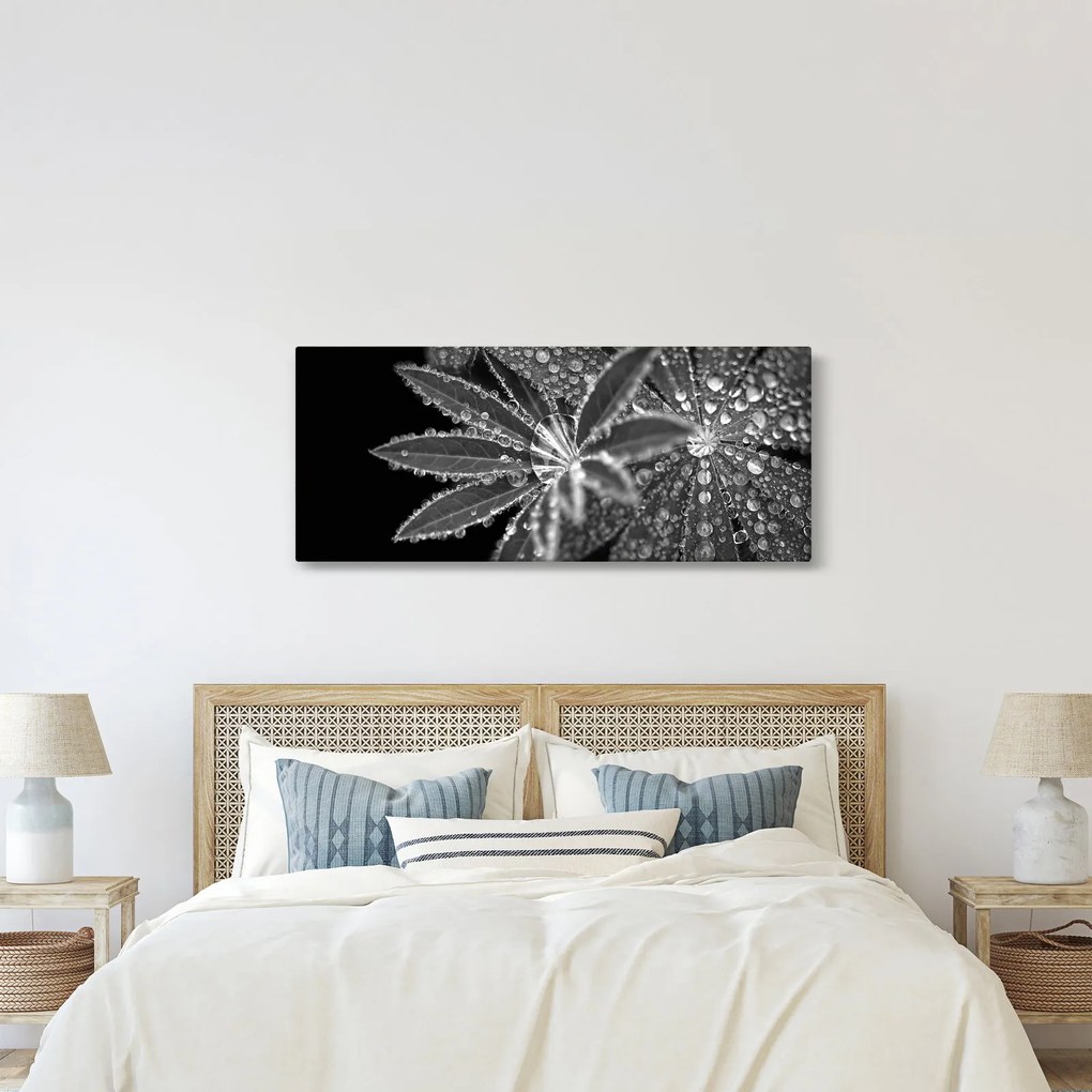 Kép - Levelek cseppekkel (120x50 cm)
