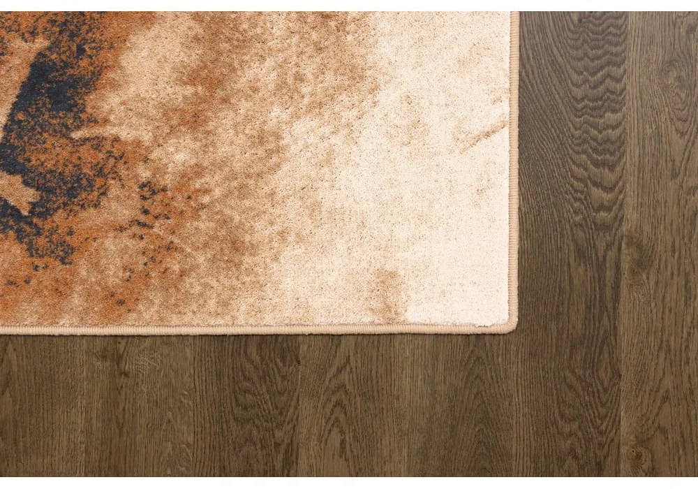 Gyapjú szőnyeg 200x300 cm Burst dark beige – Agnella