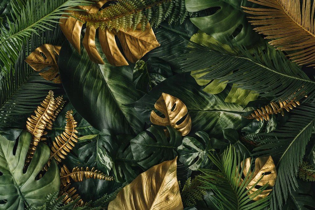 Fotótapéta Monstera Pálma levelek M01 294x260