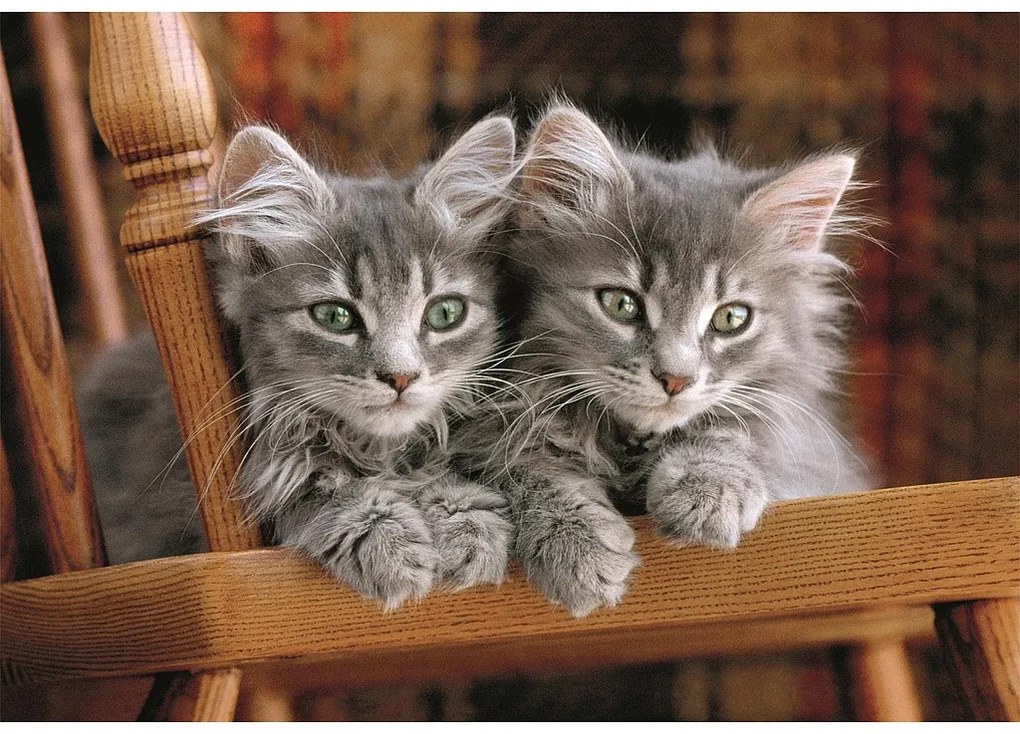 Cicás Cozy Cat 500 db-os Compact puzzle Clementoni