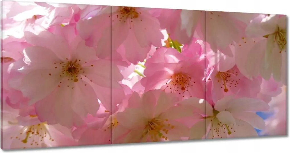 Vászonkép 120x60 Finom virágok