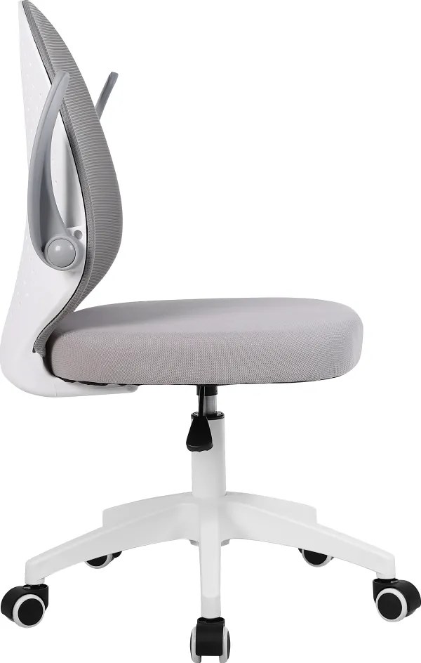 Irodai szék, szürke/fehér, PASTURA