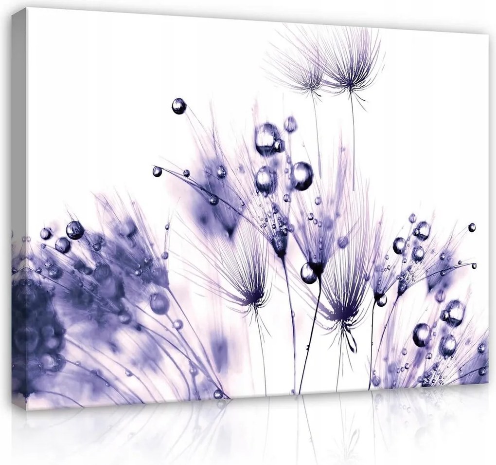 Vászonkép 100x75 Frissesség harmat vízcseppek természet finomság könnyed nyugalom