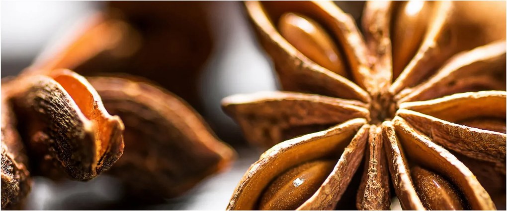 Kép - Anise (120x50 cm)