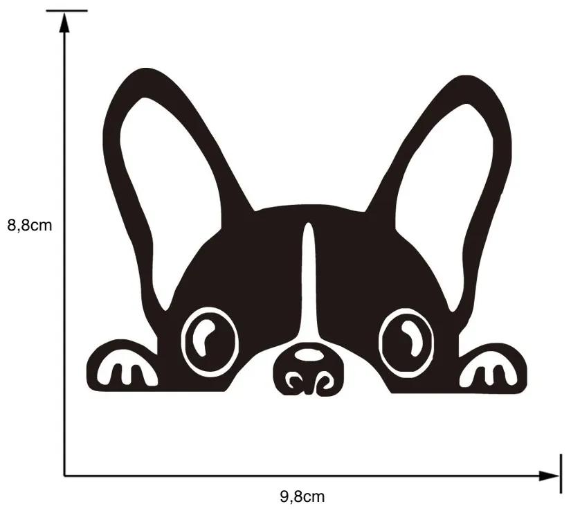 Matrica kapcsolóra "Francia bulldog" 10x9 cm