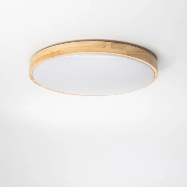 Brilagi - dimmelhető LED mennyezeti lámpatest PINE LED/24W/230V + távirányító