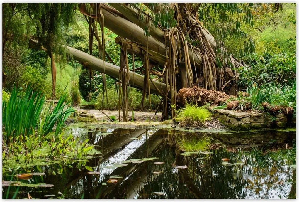 Poszterek 120x80 Tájkép Látvány