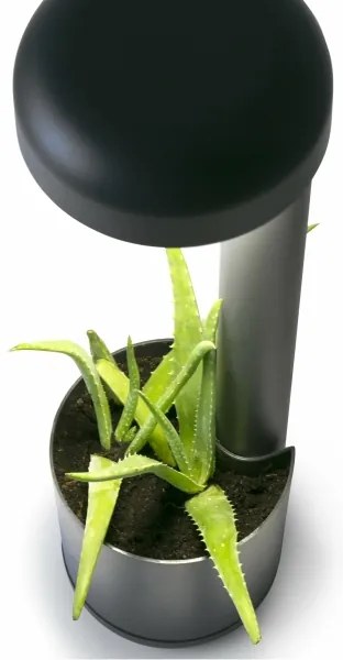 FARO 71206 - LED Kültéri lámpa GROW 1xLED/9W/230V