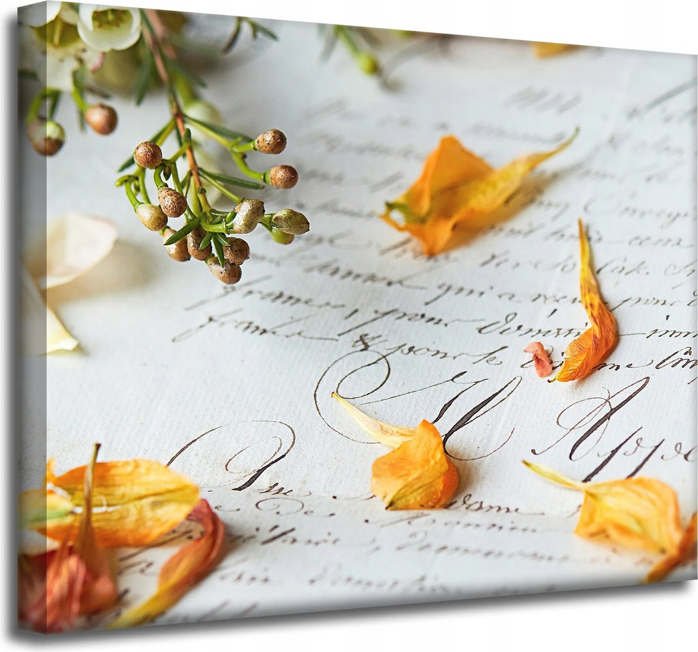 Vászonkép Botanika Virágszirmok 50x40 cm