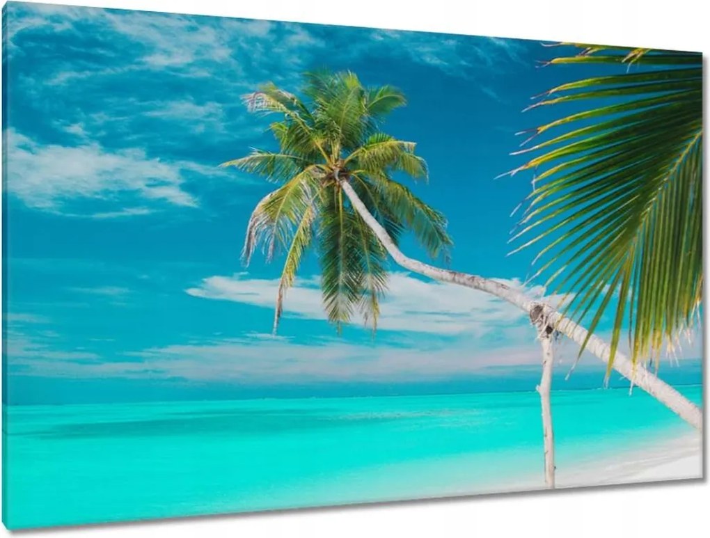 Festmények 120x80 Tájkép Látvány