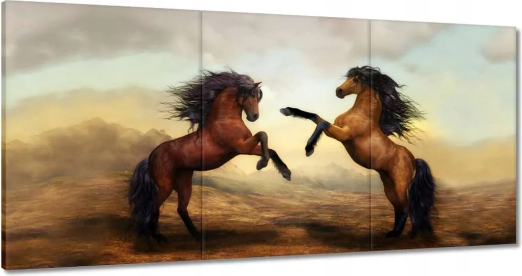 Vászonkép 180x90 Két ló