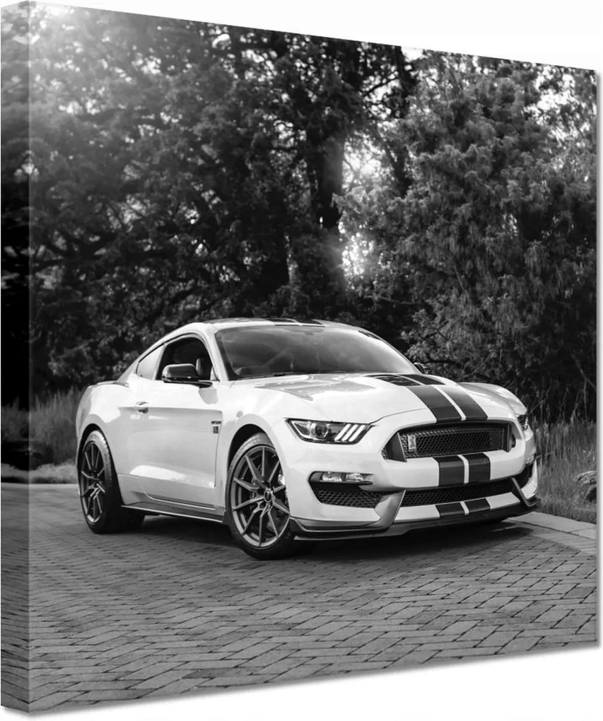 Vászonkép 60x60 Sportos Ford Mustang