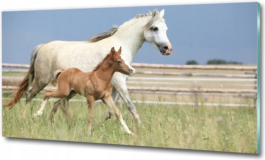 Fotó-üvegkép Kanca csikóval 100x70