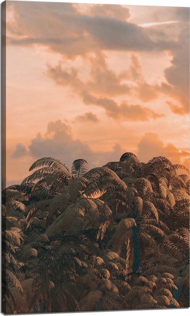 Vászonkép Fák Naplemente Felhők Ég 60x100 cm