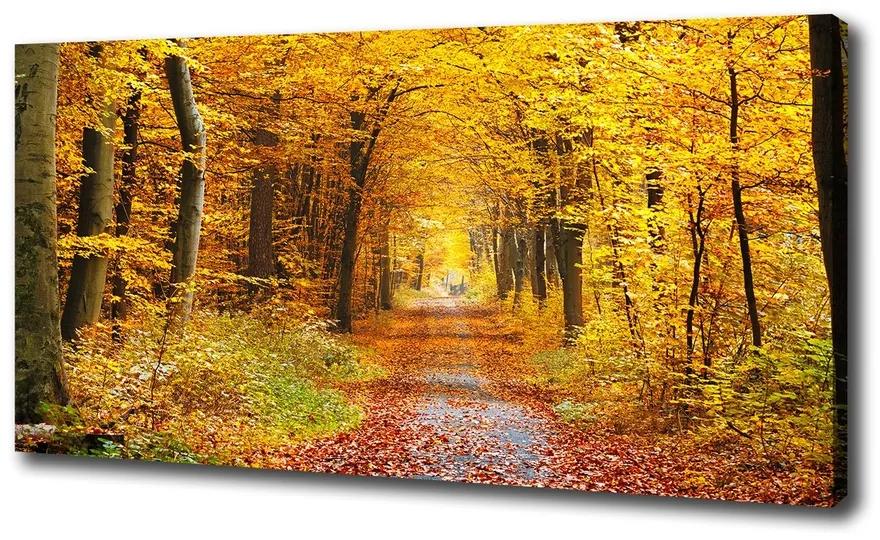 Vászon nyomtatás Erdő ősszel pl-oc-100x50-f-86844242