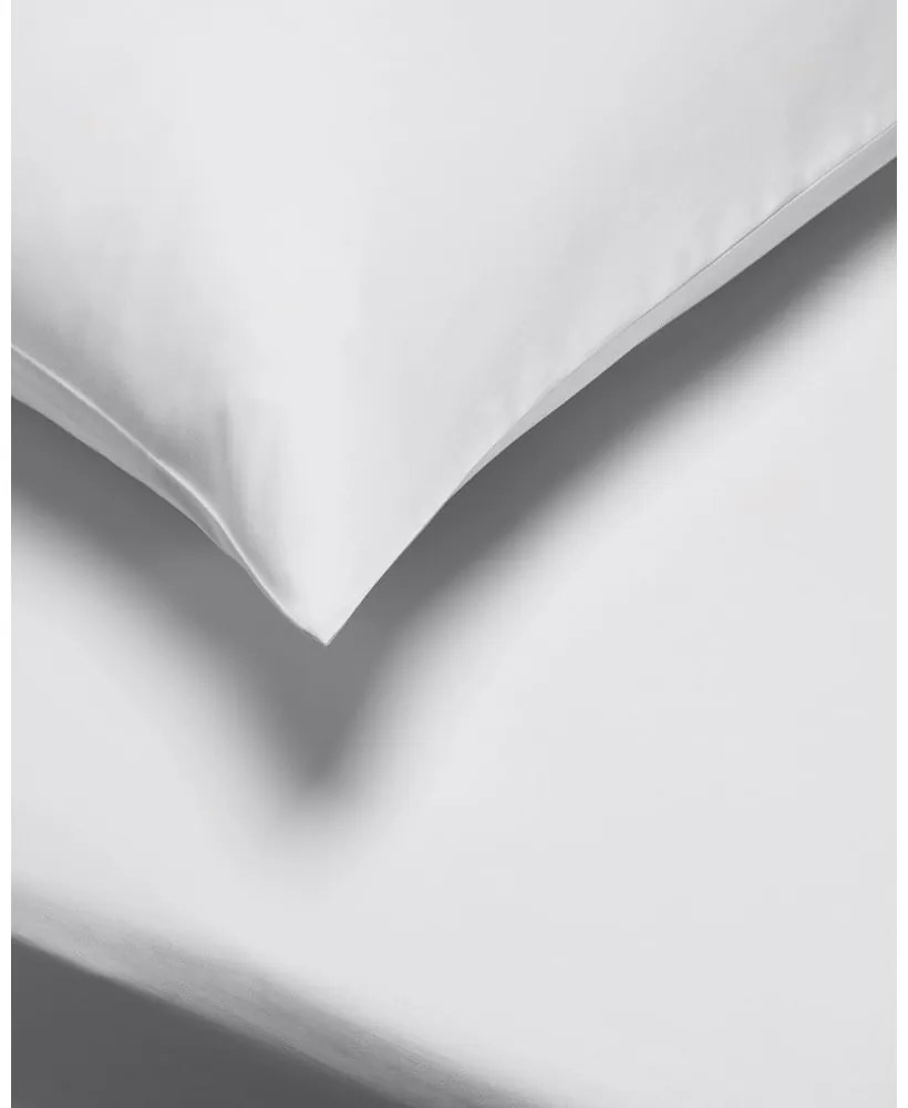 Standard 2 db szürke pamutszatén párnahuzat, 50 x 75 cm - Bianca