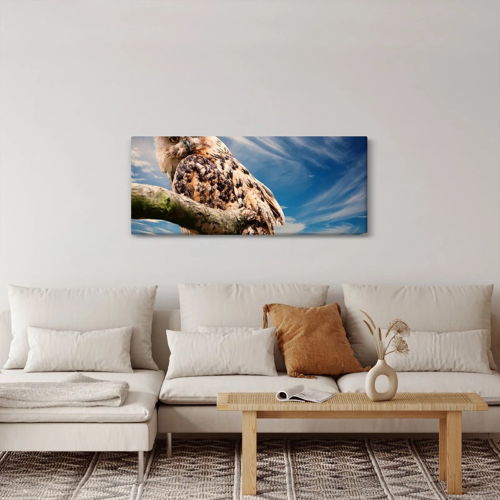 Bagoly képe (120x50 cm)