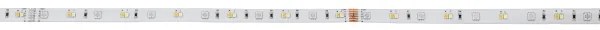 Eglo 99687 - LED RGBW Dimmelhető szalag 8m LED/24W/24/230V 2700-6500K