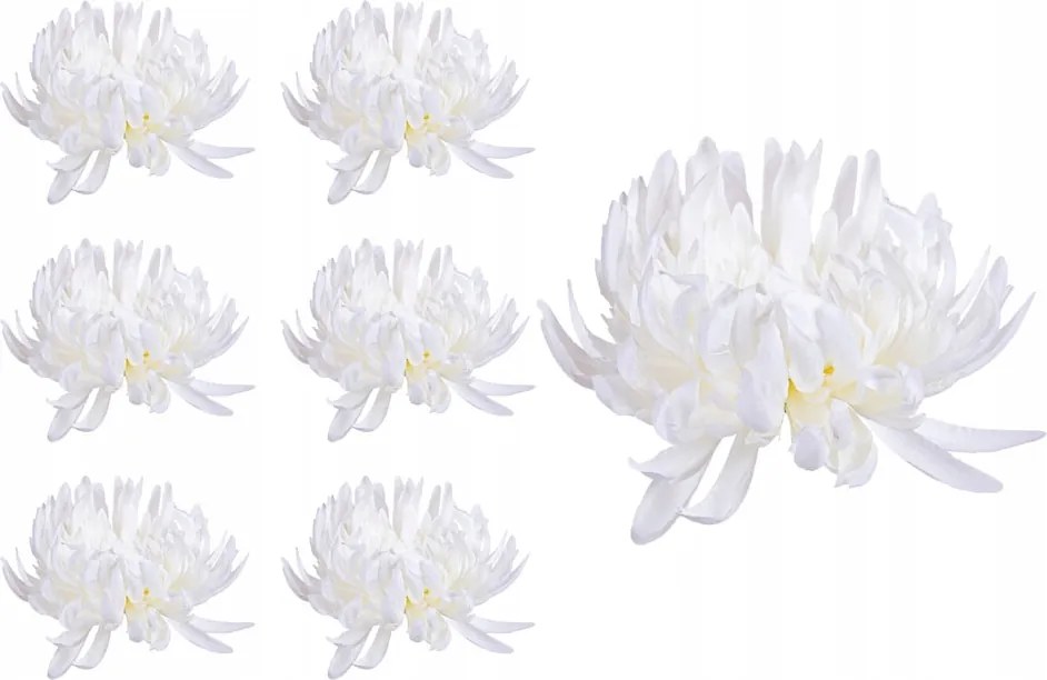 Krizantém Rák krémszínű fej 6 db művirág csomózáshoz