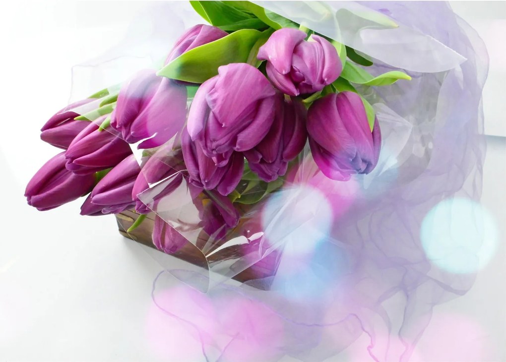 Kép - csokor tulipán (70x50 cm)