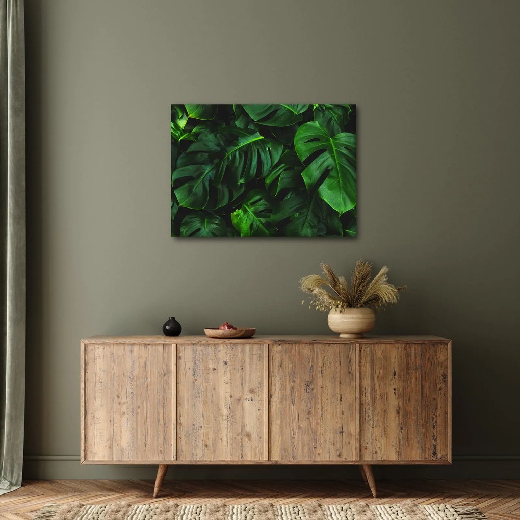 Monstery levelek képe (70x50 cm)