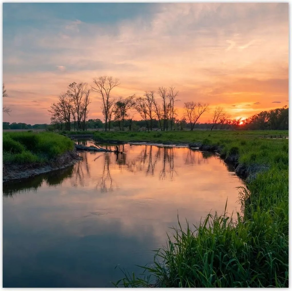 Poszterek 30x30 Folyó rét