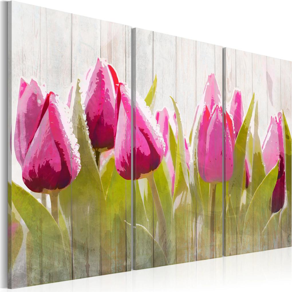 Kép - Spring bouquet of tulips