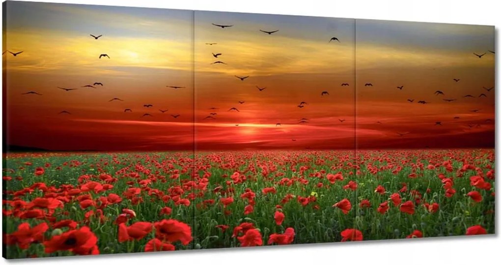 Festmények 120x60 Tájkép Látvány