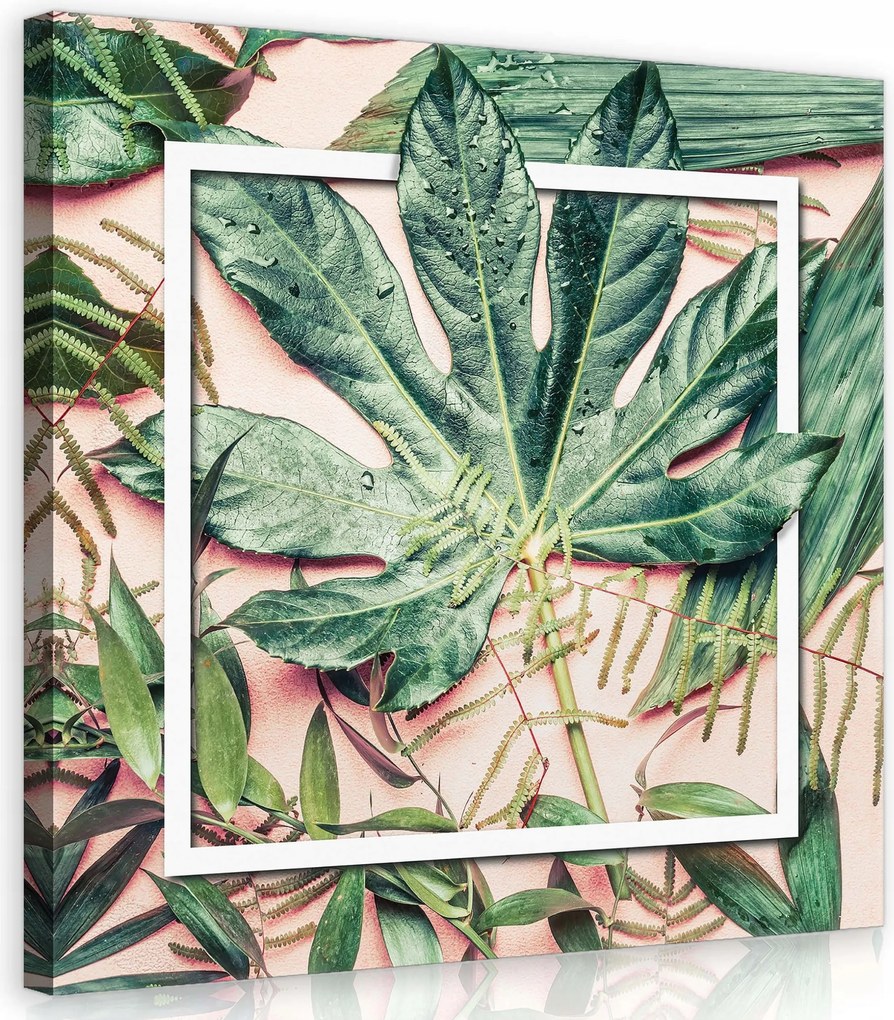 Vászonkép 40x40 Trópusi levelek zöld cseppek víz frissesség természet nyugalom