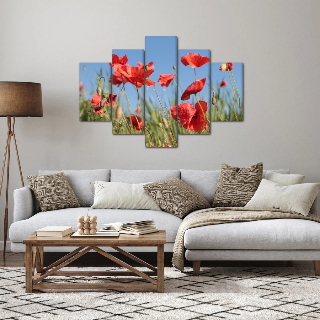 Kép - Pipacsok (150x105 cm)