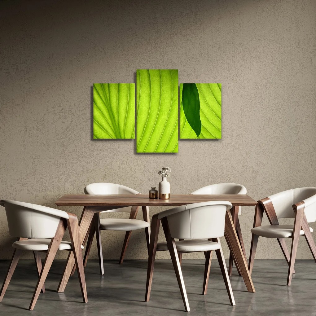Kép - Zöld levél részlete (90x60 cm)