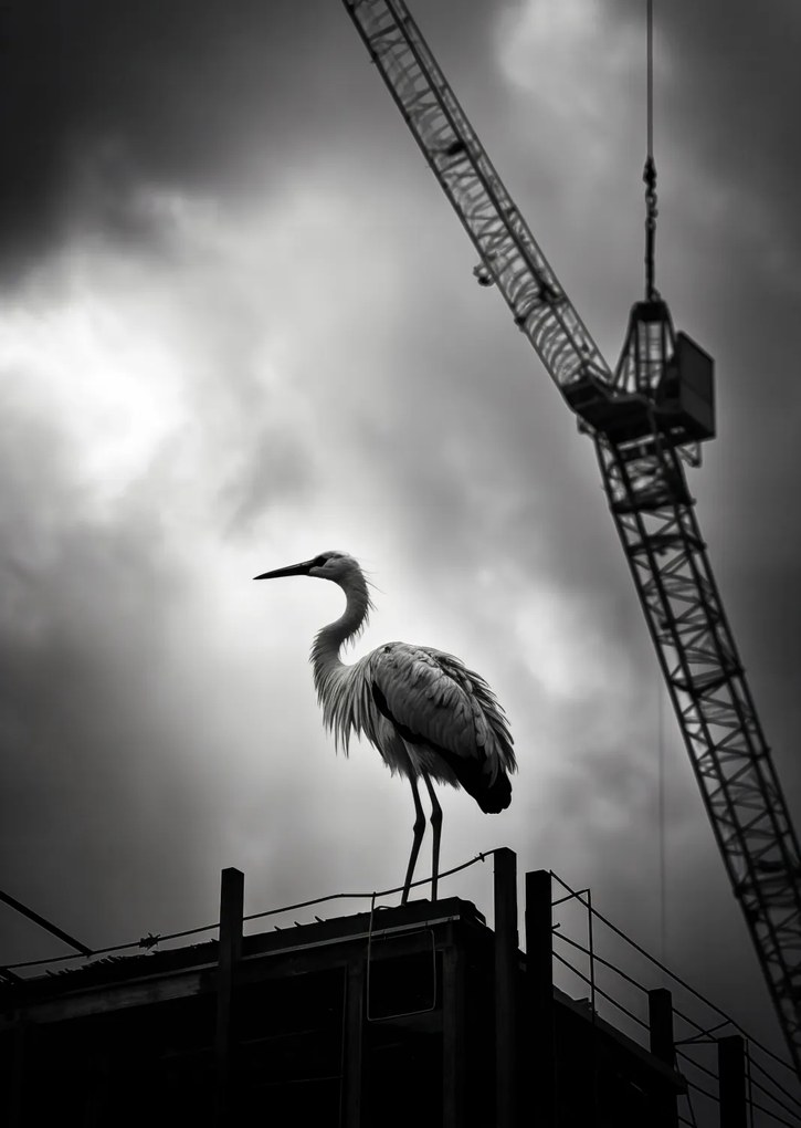 Poszter 67,5x95cm Magasan a horizont felett