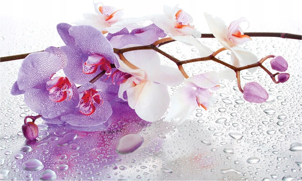 Fotótapéta Orchidea ágak finom virág a nappaliba 200x140 +ragasztó