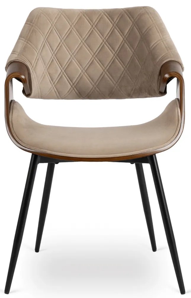 Elegáns Bársony Étkezőszék Bézs/Dió Színben. DAKOTA