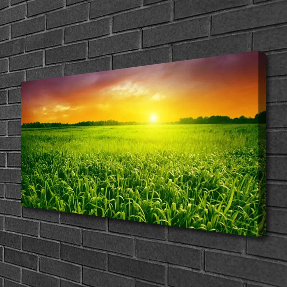 Vászonkép falra Wheat Field Sunrise 100x50 cm