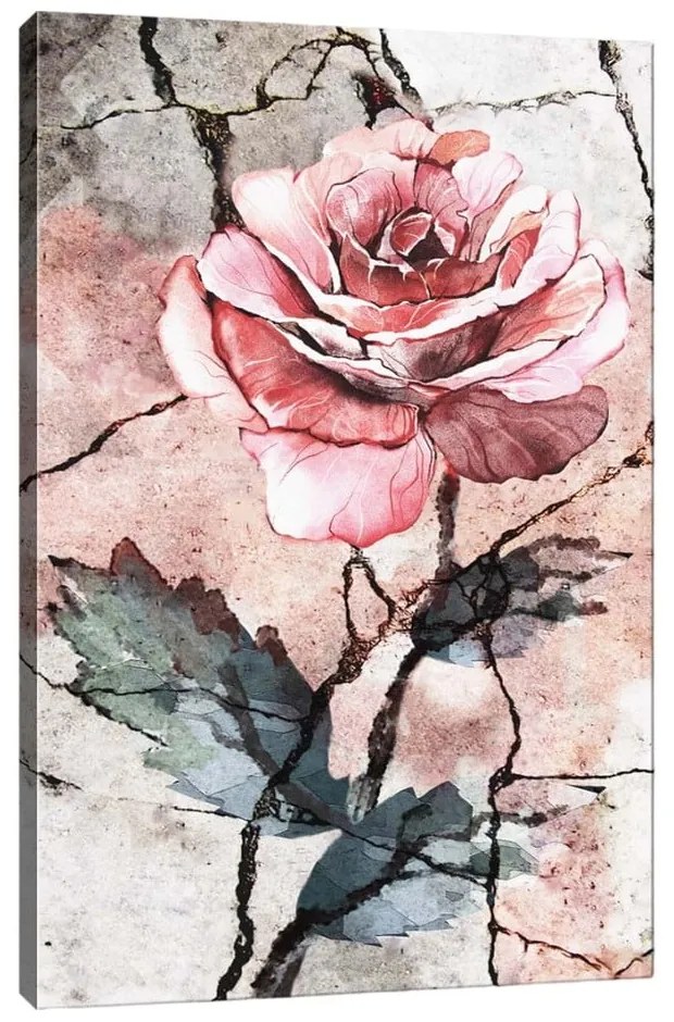 Rose vászonkép, 40 x 60 cm - Tablo Center