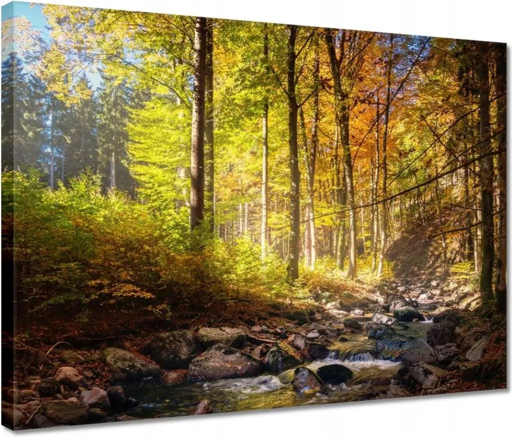 Vászonkép 40x30 Tájkép