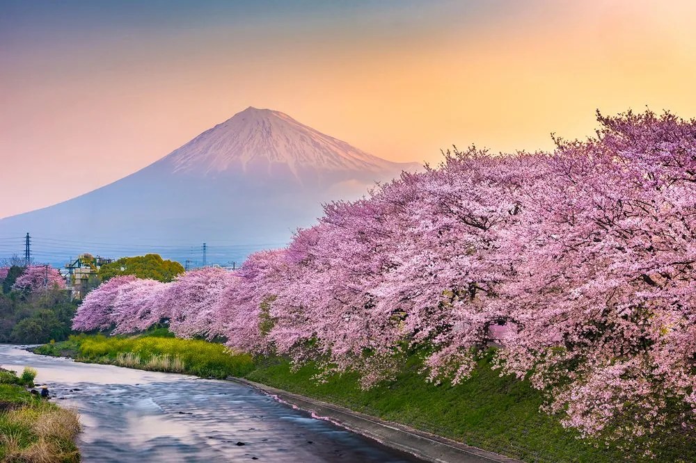 Öntapadó fotótapéta csodás Japán ország