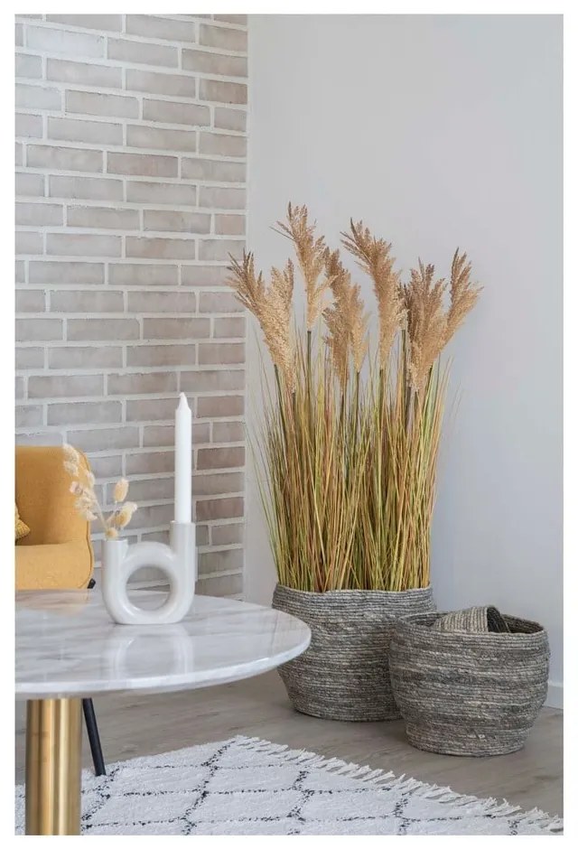Fű műnövény (magasság 110 cm) Sorghum – House Nordic