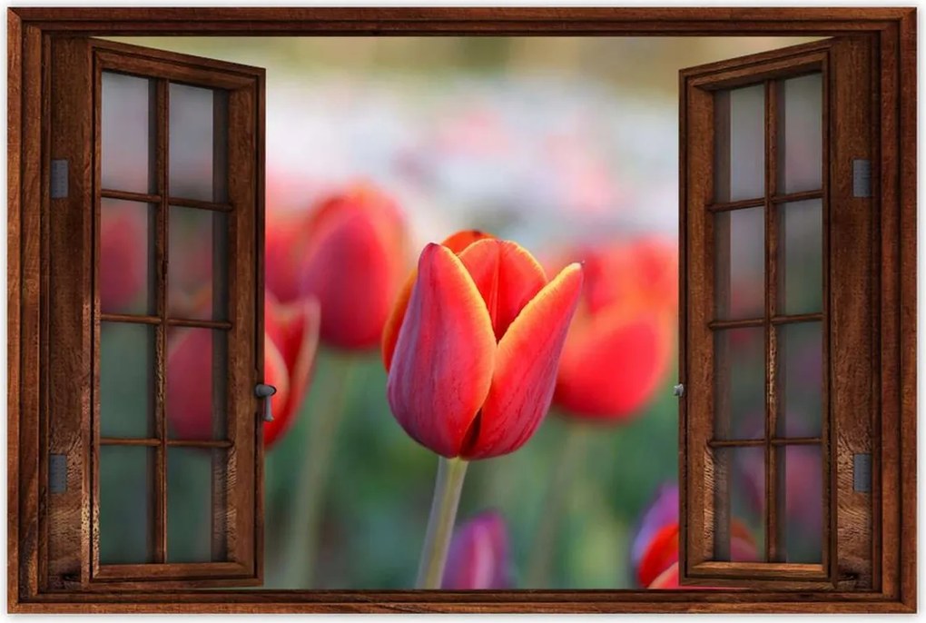 Poszterek 90x60 Tulipánok Virágok